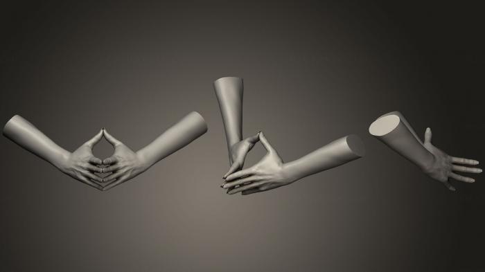 نموذج ثلاثي الأبعاد لآلة CNC تشريح الهياكل العظمية والجماجم أيدي الإناث 2